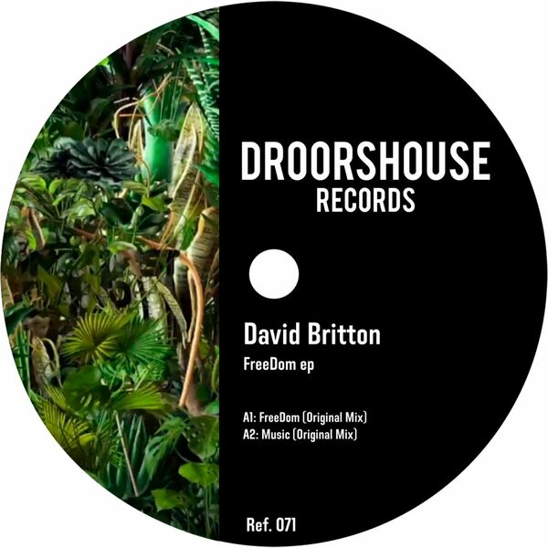 David Britton - FreeDom ep / droorshouse records