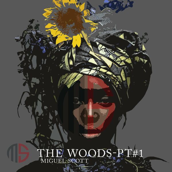 The Woods - The Woods, Pt. 1 / Afrinative Soul