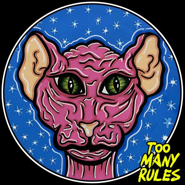 Lexlay, Andre Salmon, ZiF - Dance Dance / Too Many Rules