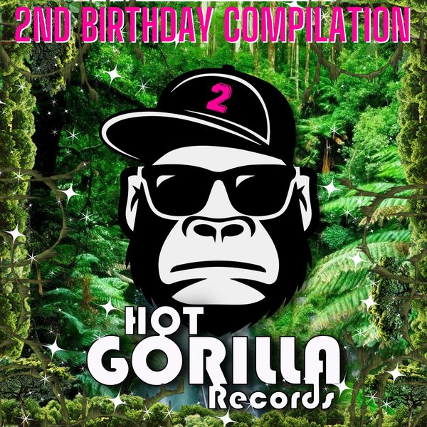 VA - 2nd Birthday Compilation / Hot Gorilla Records