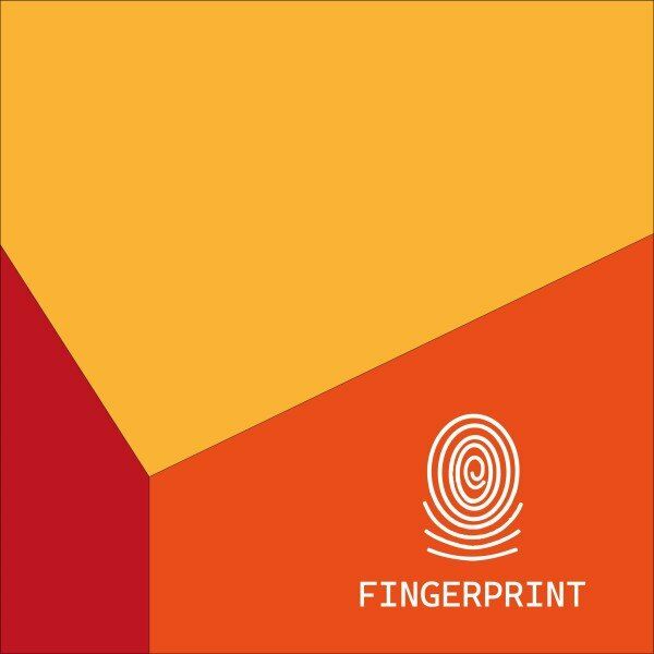 The Stoned - Take a Chance / Fingerprint Music