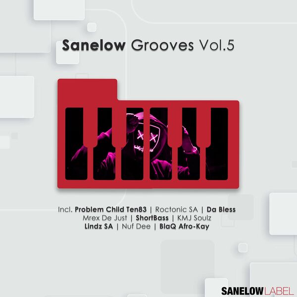 VA - Sanelow Grooves, Vol. 5 / Sanelow Label