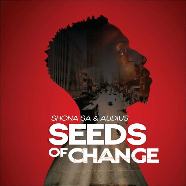 Shona SA & Audius - Seeds Of Change / Domboshaba Records