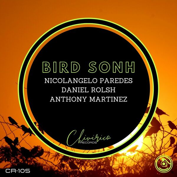 Nicolangelo Paredes, Daniel Rolsh, Anthony Martinez - Bird Sonh / Chivirico Records