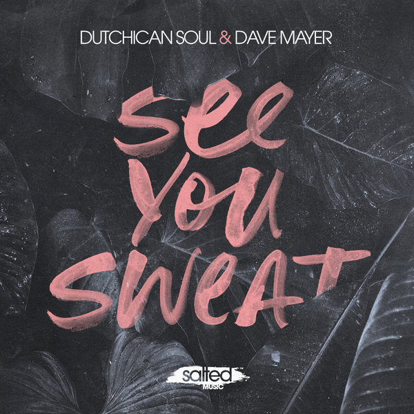 Dutchican Soul, Dave Mayer - See You Sweat / Salted Music