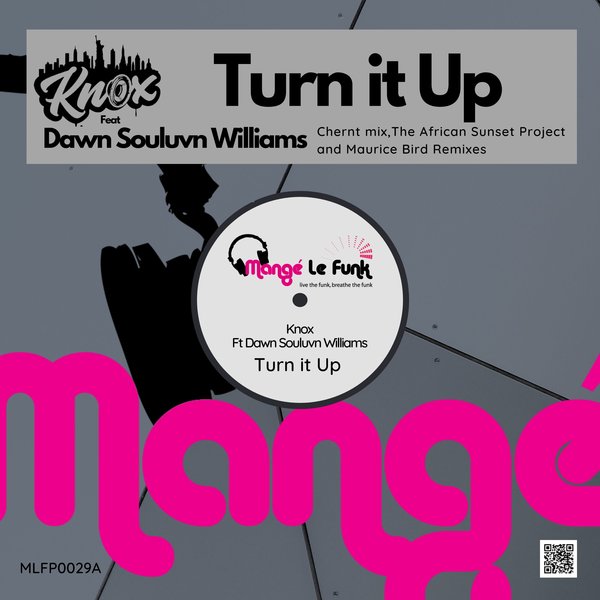 Knox feat. Dawn Souluvn Williams - Turn It Up / Mange Le Funk Productions