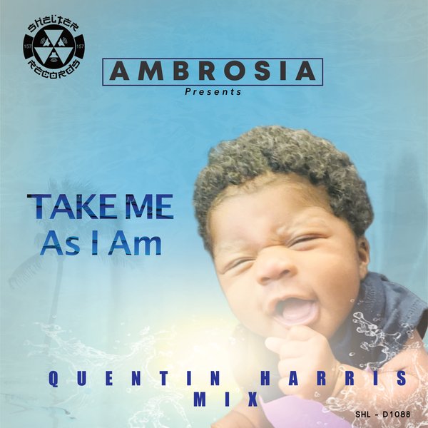 AMBROSIA - Take Me As I Am / Shelter Records (Shelter)