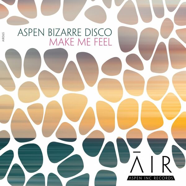 aspen bizarre disco - Make Me Feel / Aspen Inc Records
