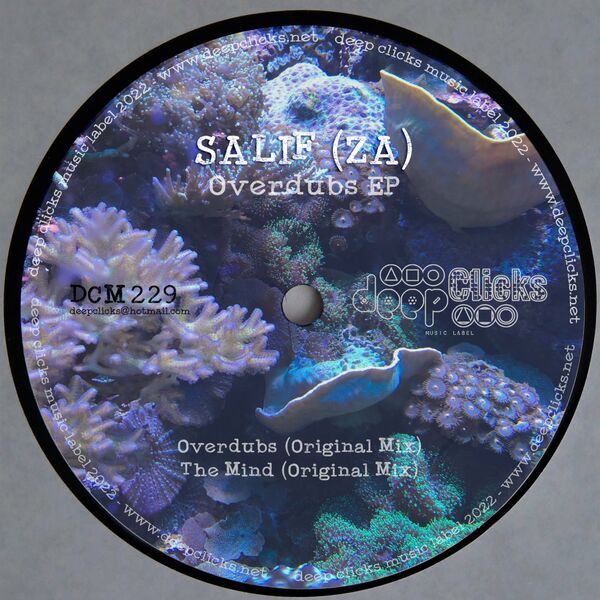 Salif (ZA) - Overdubs / Deep Clicks