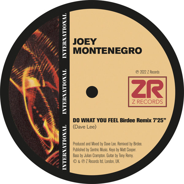 Joey Montenegro - Do What You Feel (Birdee Remix) / Z Records