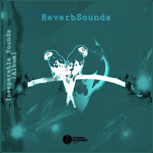 ReverbSounds - Inseparable Sounds / Diptorrid Recordings