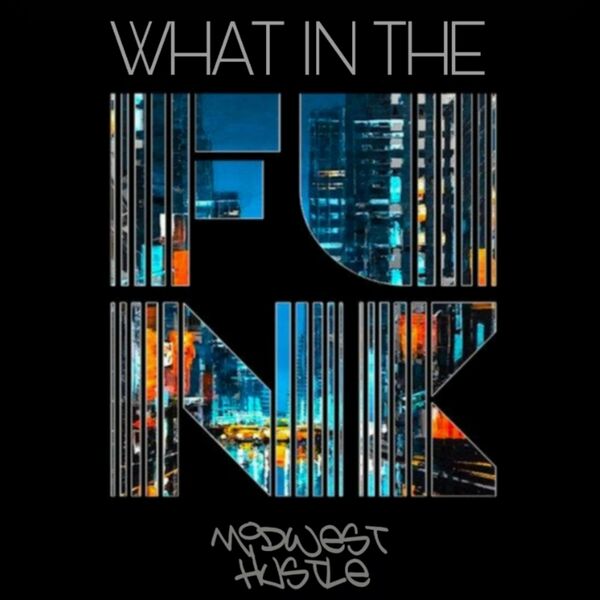 VA - What In The Funk / Midwest Hustle Music