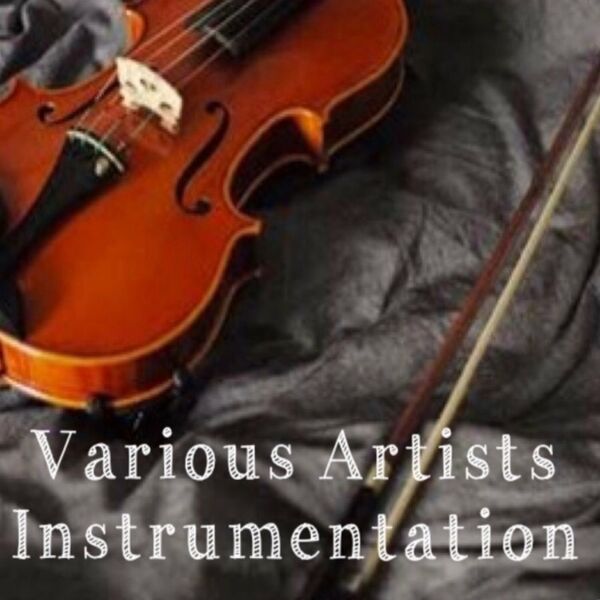 VA - Instrumentation / Soulful Sentiments Records