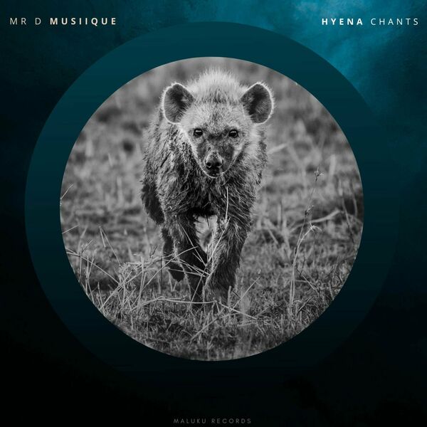 Mr D Musiique - Hyena Chants / Maluku Records