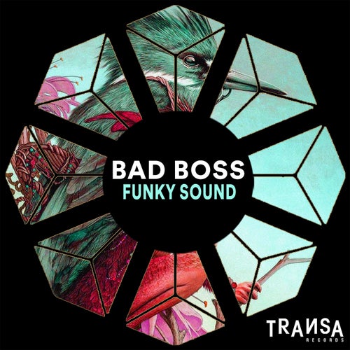 Bad Boss - Funky Sound / TRANSA RECORDS