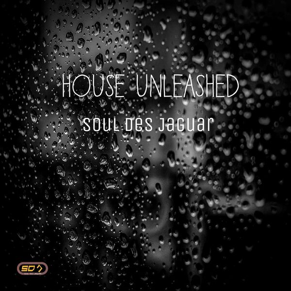 Soul Des Jaguar - House Unleashed / Darque Soul Entertainment