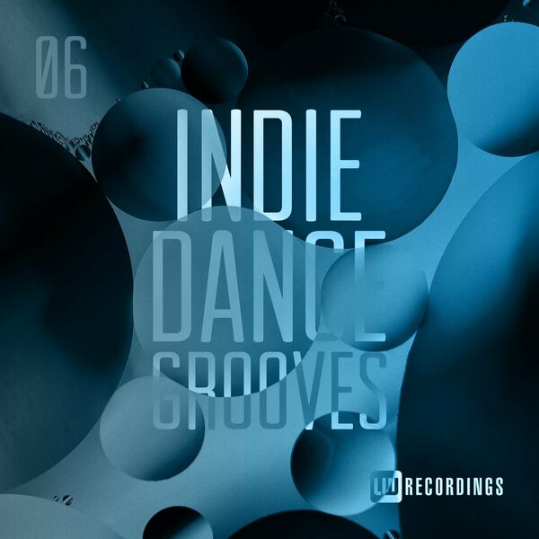 VA - Indie Dance Grooves, Vol. 06 / LW Recordings