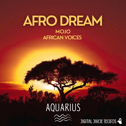 Aquarius - Afro Dream / Digital Divide Records