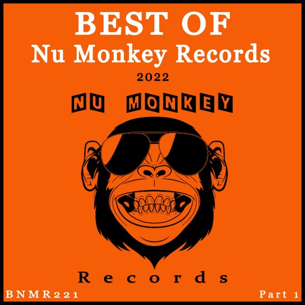 VA - Best Of Nu Monkey Records 2022, Pt. 1 / Nu Monkey Records