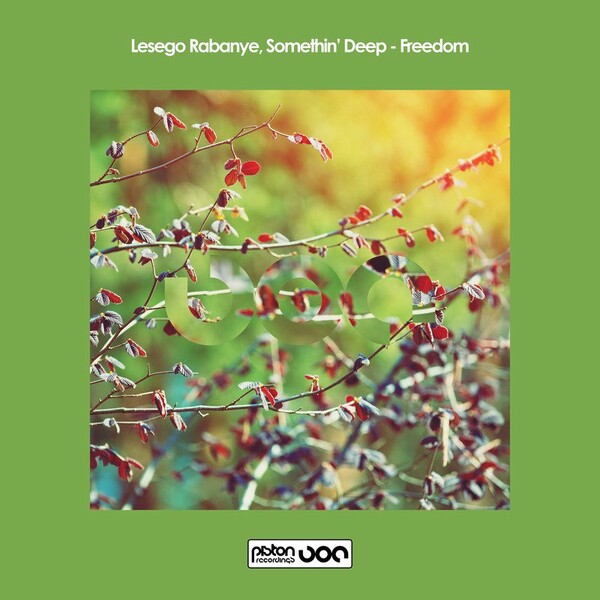Lesego Rabanye, Somethin' Deep - Freedom / Piston Recordings