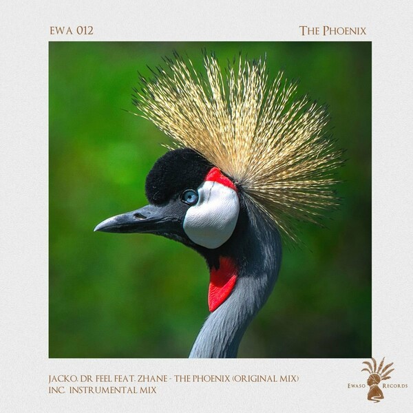 Jacko, Dr Feel, Zhane - The Phoenix / Ewaso Records