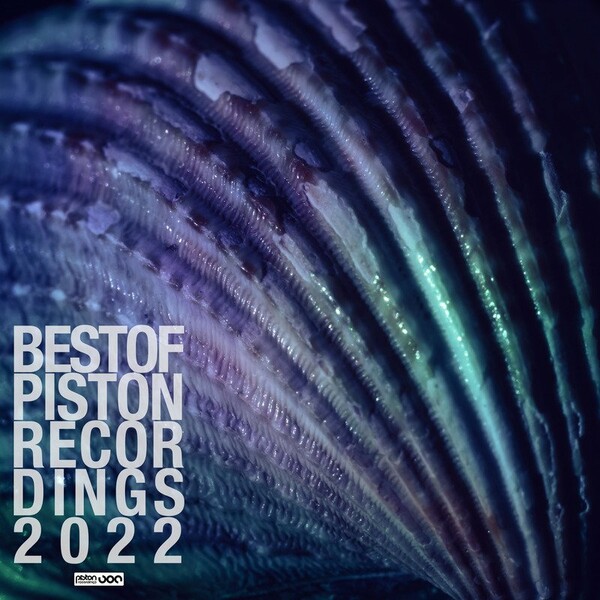 VA - Best Of Piston Recordings 2022 / Piston Recordings