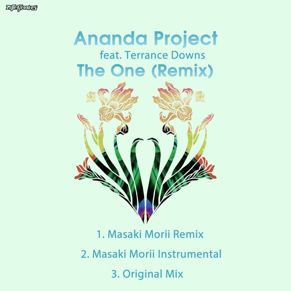Ananda Project feat. Terrance Downs - The One (Remix) / Nite Grooves