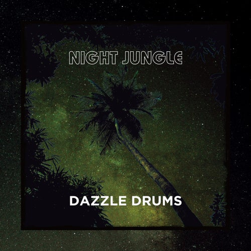 Dazzle Drums - Night Jungle / Yellow Parrot Recording