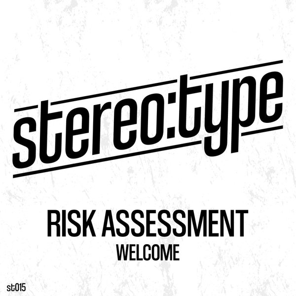 Risk Assessment - WELCOME / Stereo:type