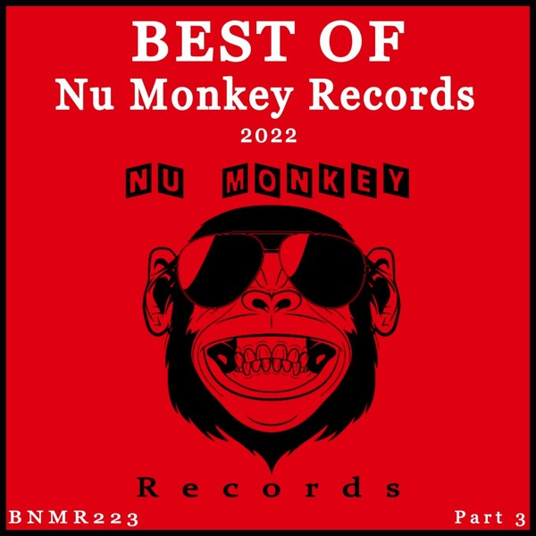 VA - Best Of Nu Monkey Records 2022, Pt. 3 / Nu Monkey Records