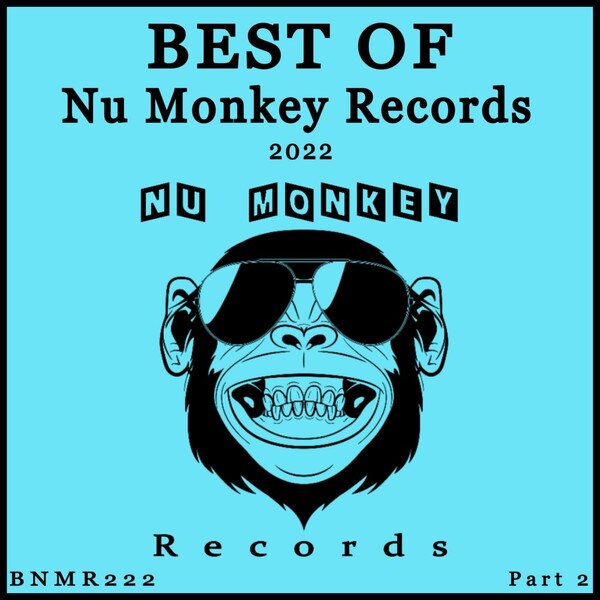 VA - Best Of Nu Monkey Records 2022 Part 2 / Nu Monkey Records