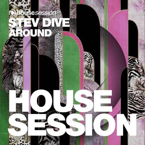 Stev Dive - Around / Housesession Records