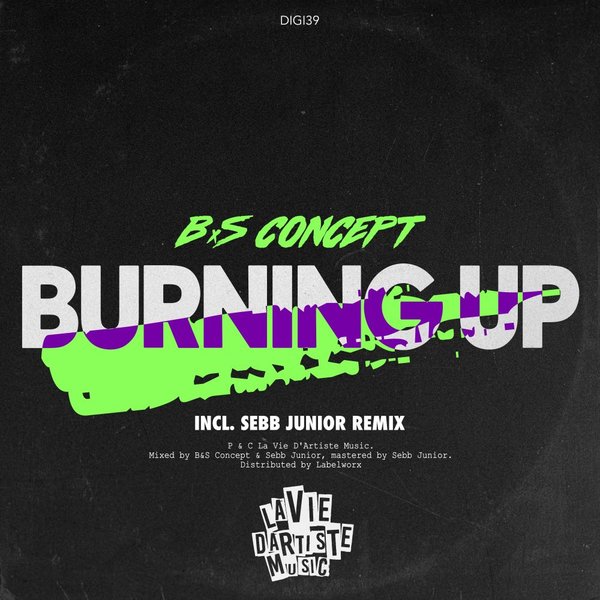 B&S Concept - Burning Up / La Vie D'Artiste Music