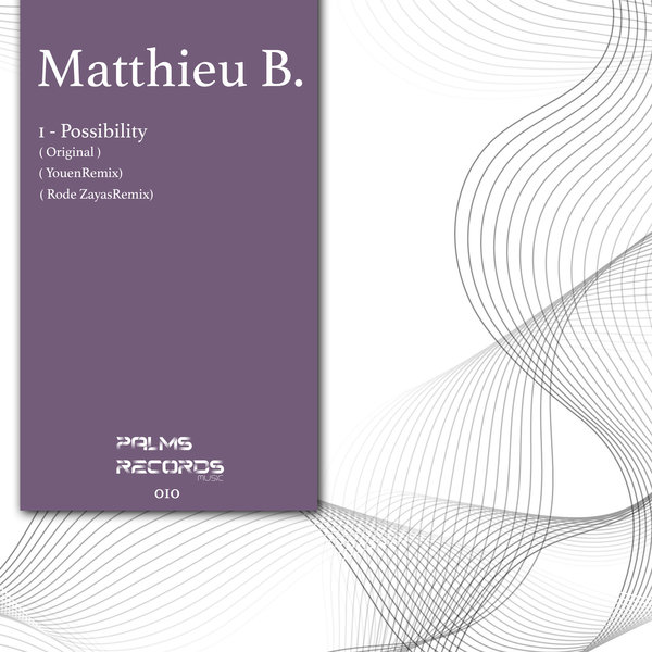 Matthieu B. - Possibility / Palms Records Music