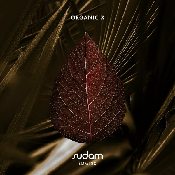 VA - Organic X / Sudam Recordings