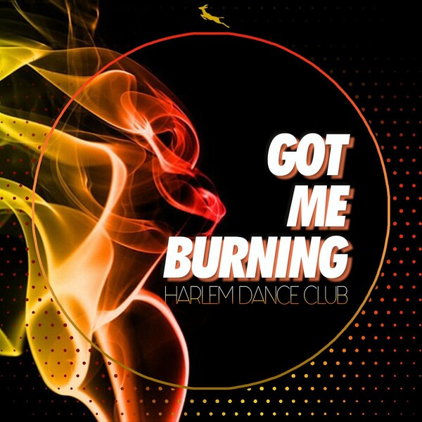 Harlem Dance Club - Got Me Burning / Springbok Records