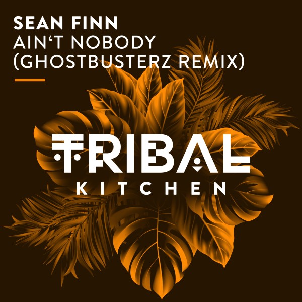 Sean Finn - Ain't Nobody (Ghostbusterz Remix) / Tribal Kitchen