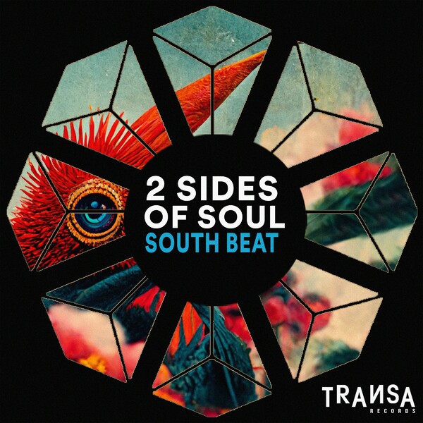 2 Sides Of Soul - South Beat / TRANSA RECORDS