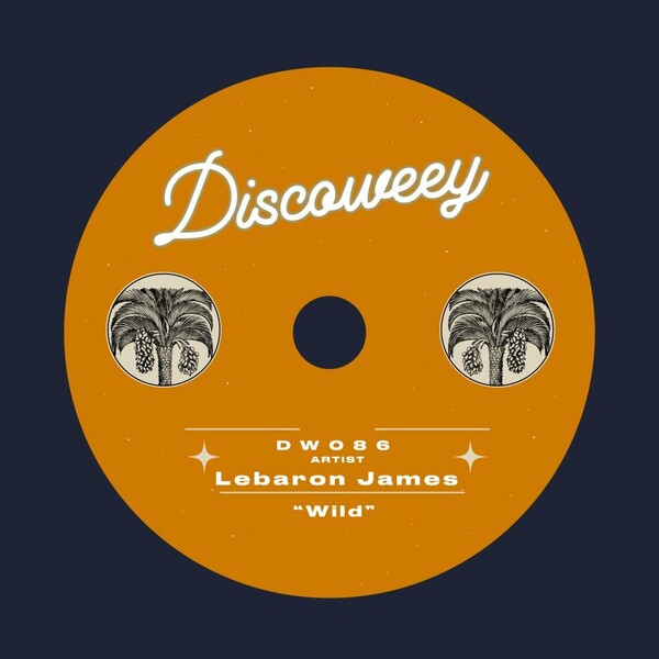 LeBaron James - Wild / Discoweey