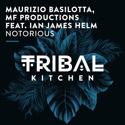 Maurizio Basilotta, MF Productions, Ian James Helm - Notorious / Tribal Kitchen