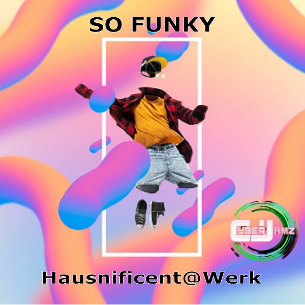 Hausnificent@Werk - So Funky / Cyberjamz