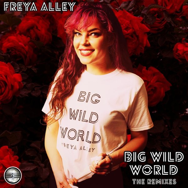 Freya Alley - Big Wild World (The Remixes) / Soulful Evolution