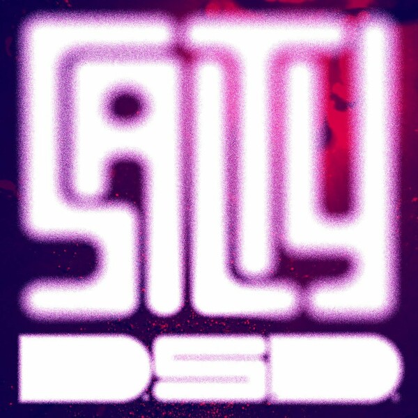 D.S.D. - Salty / Paper Recordings