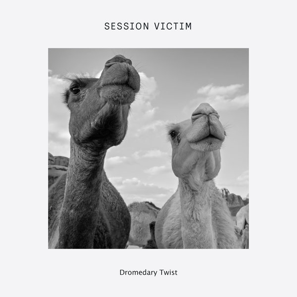 Session Victim - Dromedary Twist / Delusions of Grandeur