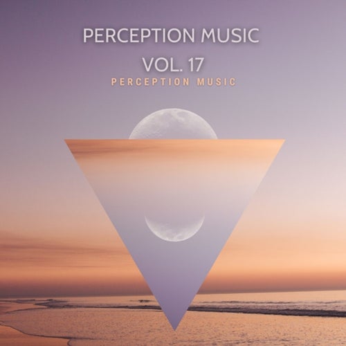 VA - Perception Music Vol. 17 / Perception Music