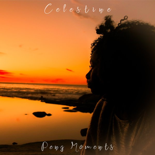 Celestine, The Rurals, Andy Compton - Peng Moments / Peng