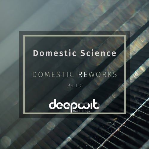 VA - Domestic Reworks, Pt. 2 / DeepWit Recordings