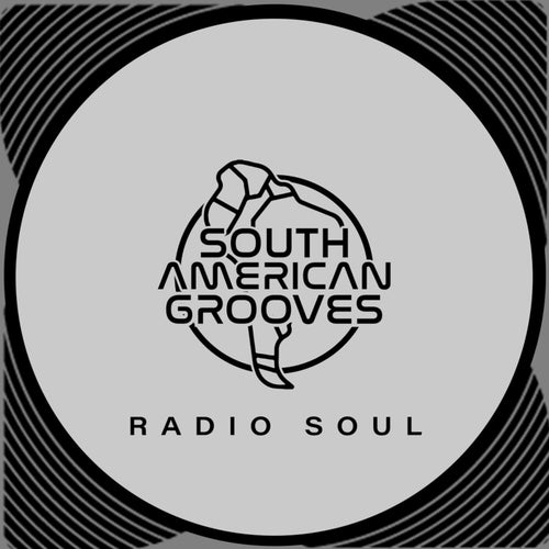 Ministry Of Funk, Disco Incorporated - Radio Soul (Mixes) / South American Grooves