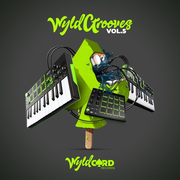 VA - WyldGrooves Vol.5 / WyldCard