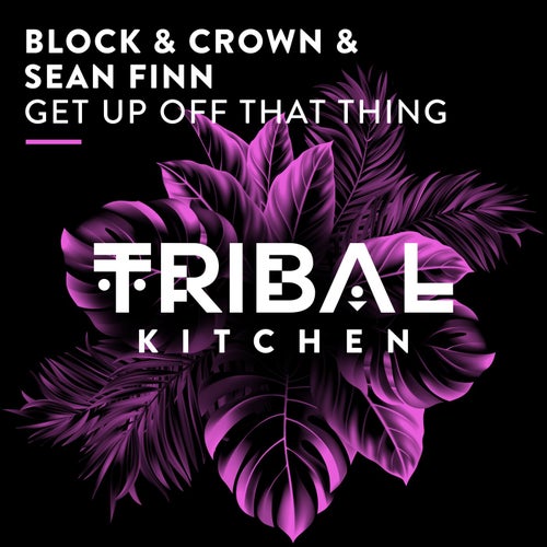 Sean Finn, Block & Crown - Get up off That Thing / Tribal Kitchen